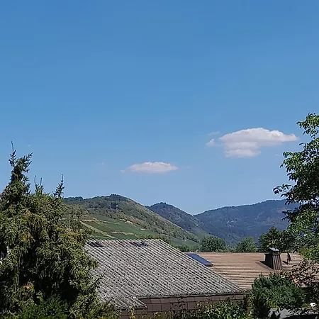 Unterm Tulpenbaum アパート ミュールハイム