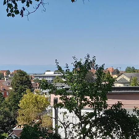 Unterm Tulpenbaum Mullheim (Baden-Wurttemberg)