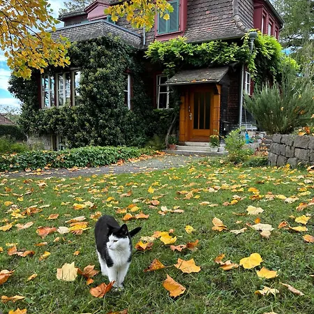 Unterm Tulpenbaum ミュールハイム