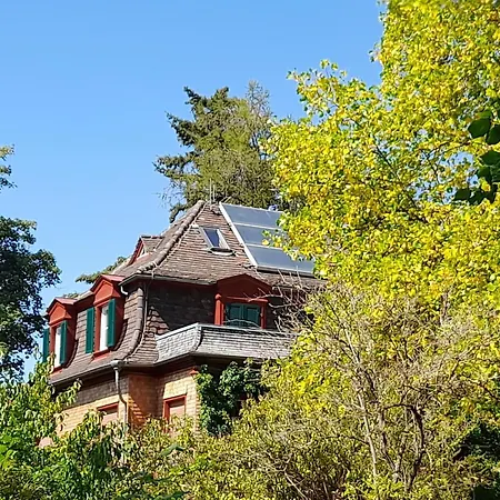 Unterm Tulpenbaum * Mullheim (Baden-Wurttemberg)