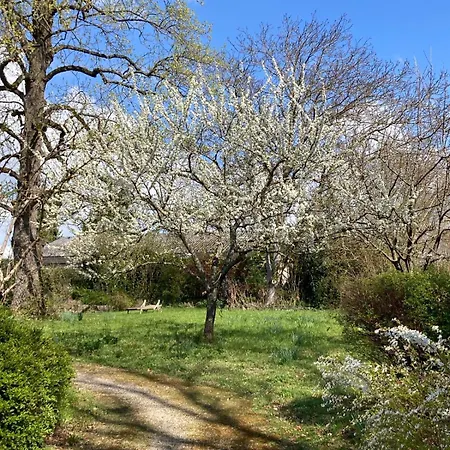 Unterm Tulpenbaum